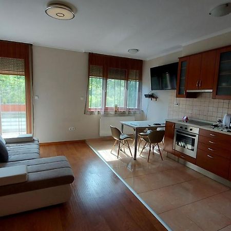 Sunny Loft Kecskemet Apartment ภายนอก รูปภาพ