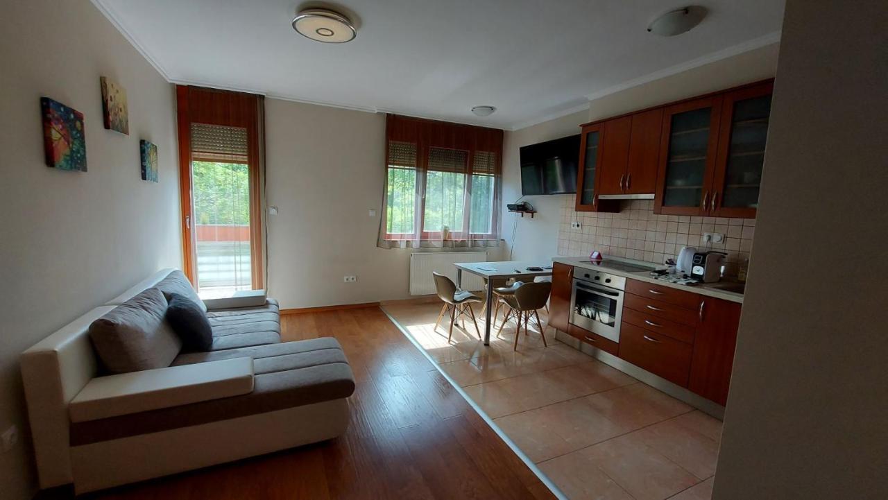 Sunny Loft Kecskemet Apartment ภายนอก รูปภาพ